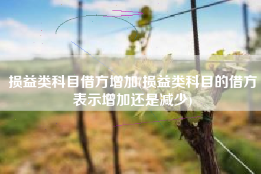 损益类科目借方增加(损益类科目的借方表示增加还是减少)