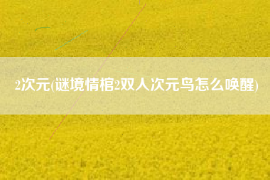 2次元(谜境情棺2双人次元鸟怎么唤醒)