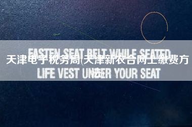 天津电子税务局(天津新农合网上缴费方法)