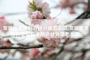 详细阅读:发放股票股利会计分录怎么做(发放股票股利增加股本的会计分录怎么做) 发放股票股利会计分录怎么做(发放股票股利增加股本的会计分录怎么做)