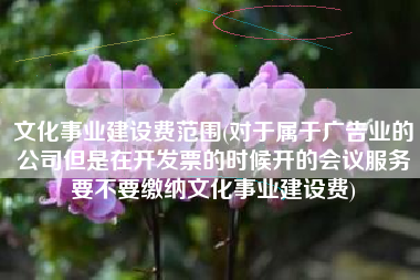 文化事业建设费范围(对于属于广告业的公司但是在开发票的时候开的会议服务要不要缴纳文化事业建设费)