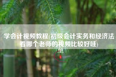 学会计视频教程(初级会计实务和经济法看哪个老师的视频比较好哇)