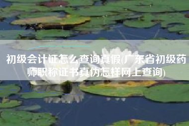 初级会计证怎么查询真假(广东省初级药师职称证书真伪怎样网上查询)