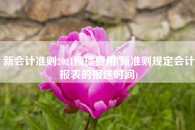 新会计准则2021预提费用(新准则规定会计报表的报送时间)