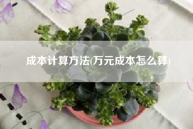 成本计算方法(万元成本怎么算)