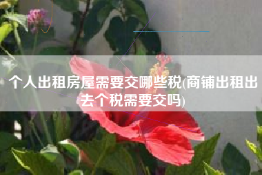 个人出租房屋需要交哪些税(商铺出租出去个税需要交吗)