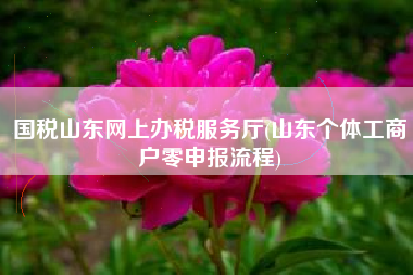 国税山东网上办税服务厅(山东个体工商户零申报流程)