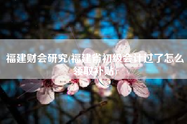 福建财会研究(福建省初级会计过了怎么领取补贴)