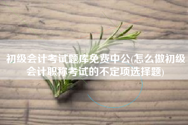 初级会计考试题库免费中公(怎么做初级会计职称考试的不定项选择题)
