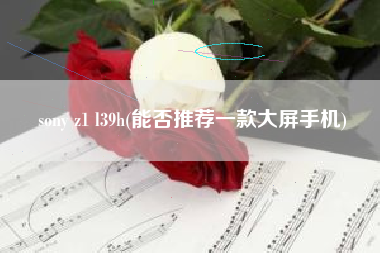 sony z1 l39h(能否推荐一款大屏手机)