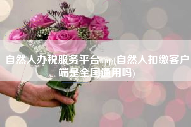 自然人办税服务平台app(自然人扣缴客户端是全国通用吗)