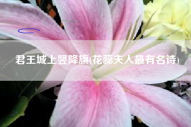君王城上竖降旗(花蕊夫人最有名诗)
