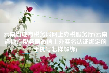 云南省地方税务局网上办税服务厅(云南省地方税务局微信上办实名认证绑定的手机号怎样解绑)