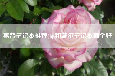 惠普笔记本推荐(hp和戴尔笔记本哪个好)