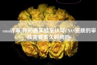 详细阅读:cma评审(你知道实验室认可CNAS资质的审核需要多久时间吗) cma评审(你知道实验室认可CNAS资质的审核需要多久时间吗)