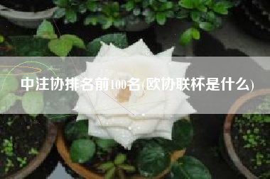 中注协排名前100名(欧协联杯是什么)