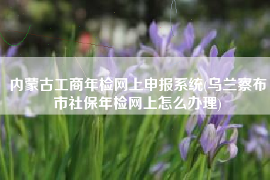 详细阅读:内蒙古工商年检网上申报系统(乌兰察布市社保年检网上怎么办理) 内蒙古工商年检网上申报系统(乌兰察布市社保年检网上怎么办理)