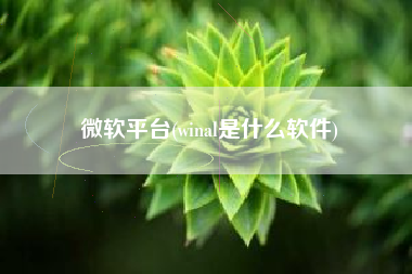 详细阅读:微软平台(winal是什么软件) 微软平台(winal是什么软件)