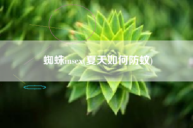 详细阅读:蜘蛛insex(夏天如何防蚊) 蜘蛛insex(夏天如何防蚊)