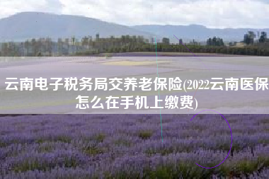 详细阅读:云南电子税务局交养老保险(2022云南医保怎么在手机上缴费) 云南电子税务局交养老保险(2022云南医保怎么在手机上缴费)
