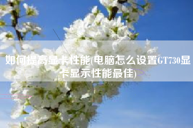 详细阅读:如何提高显卡性能(电脑怎么设置GT730显卡显示性能最佳) 如何提高显卡性能(电脑怎么设置GT730显卡显示性能最佳)