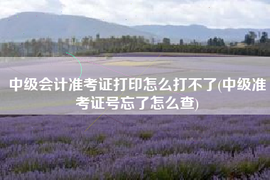 中级会计准考证打印怎么打不了(中级准考证号忘了怎么查)