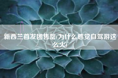 新西兰首发团售罄(为什么感觉自驾游这么火)