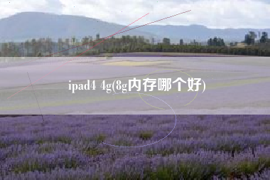 ipad4 4g(8g内存哪个好)