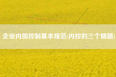 企业内部控制基本规范(内控的三个精髓)