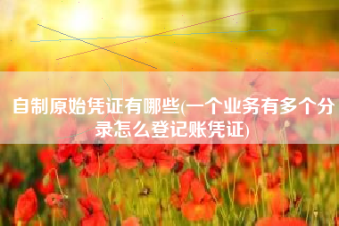 自制原始凭证有哪些(一个业务有多个分录怎么登记账凭证)