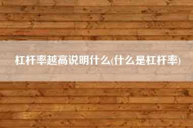 杠杆率越高说明什么(什么是杠杆率)