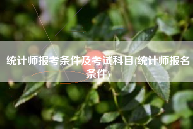 详细阅读:统计师报考条件及考试科目(统计师报名条件) 统计师报考条件及考试科目(统计师报名条件)