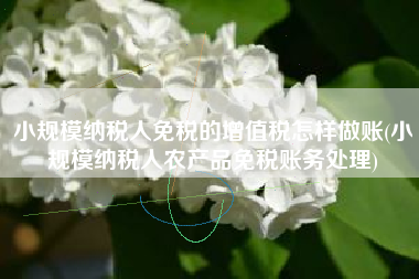 详细阅读:小规模纳税人免税的增值税怎样做账(小规模纳税人农产品免税账务处理) 小规模纳税人免税的增值税怎样做账(小规模纳税人农产品免税账务处理)