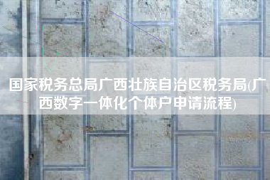 国家税务总局广西壮族自治区税务局(广西数字一体化个体户申请流程)