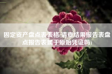 固定资产盘点表表格(清查结果报告表盘点报告表属于原始凭证吗)