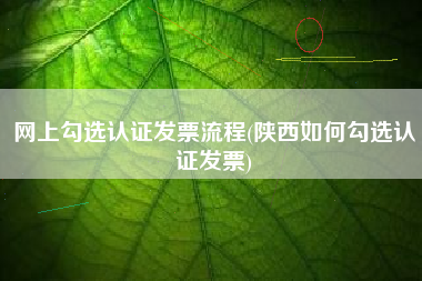 网上勾选认证发票流程(陕西如何勾选认证发票)