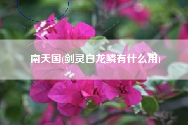 南天国(剑灵白龙鳞有什么用)