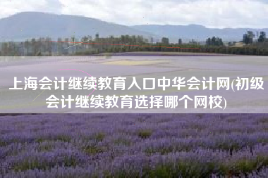上海会计继续教育入口中华会计网(初级会计继续教育选择哪个网校)