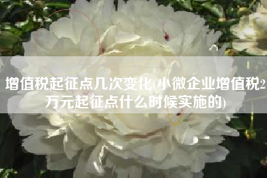 增值税起征点几次变化(小微企业增值税2万元起征点什么时候实施的)