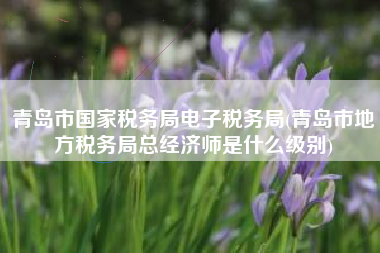 青岛市国家税务局电子税务局(青岛市地方税务局总经济师是什么级别)