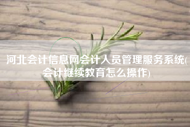 河北会计信息网会计人员管理服务系统(会计继续教育怎么操作)