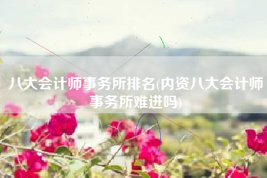 八大会计师事务所排名(内资八大会计师事务所难进吗)