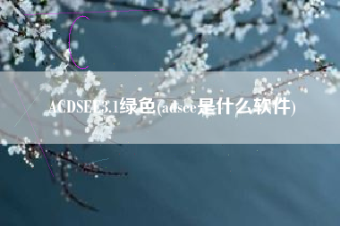 ACDSEE3.1绿色(adsee是什么软件)
