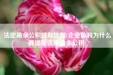 法定盈余公积提取比例(企业盈利为什么要提取法定盈余公积)