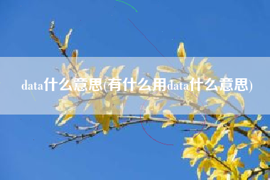 详细阅读:data什么意思(有什么用data什么意思) data什么意思(有什么用data什么意思)