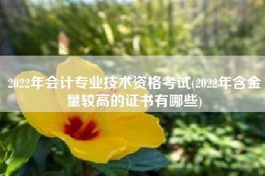 详细阅读:2022年会计专业技术资格考试(2022年含金量较高的证书有哪些) 2022年会计专业技术资格考试(2022年含金量较高的证书有哪些)