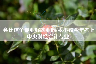 会计这个专业好就业吗(我小孩今年考上中央财经会计专业)