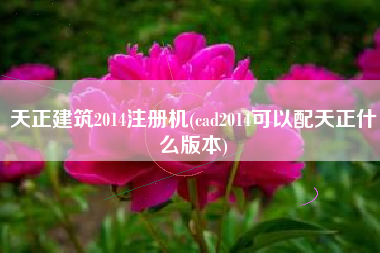 天正建筑2014注册机(cad2014可以配天正什么版本)