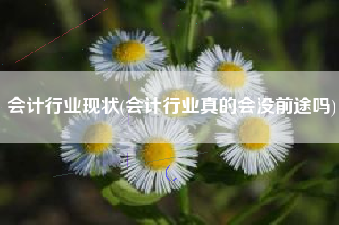 会计行业现状(会计行业真的会没前途吗)