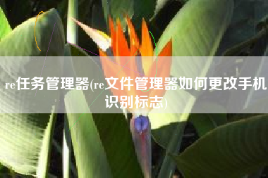 详细阅读:re任务管理器(re文件管理器如何更改手机识别标志) re任务管理器(re文件管理器如何更改手机识别标志)